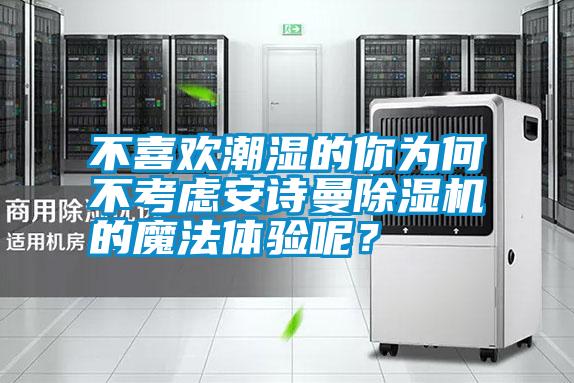 不喜歡潮濕的你為何不考慮安詩曼除濕機的魔法體驗呢？