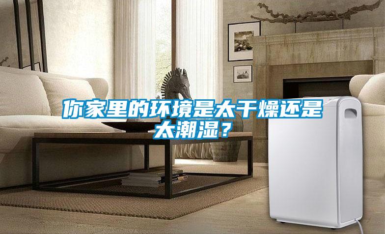 你家里的環境是太干燥還是太潮濕？