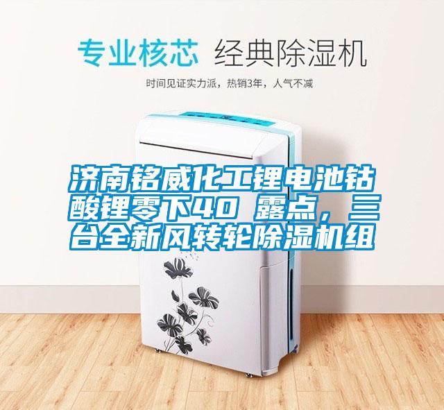 濟(jì)南銘威化工鋰電池鈷酸鋰零下40℃露點(diǎn)，三臺(tái)全新風(fēng)轉(zhuǎn)輪除濕機(jī)組