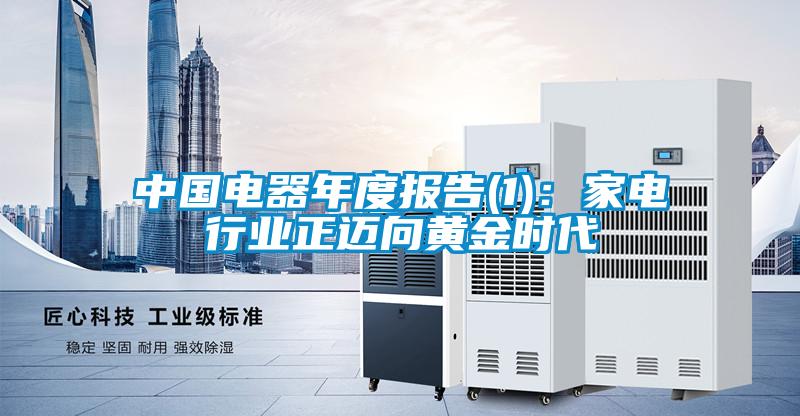 中國電器年度報告(1):家電行業正邁向黃金時代
