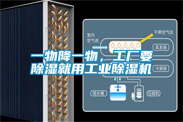一物降一物，工廠要除濕就用工業除濕機