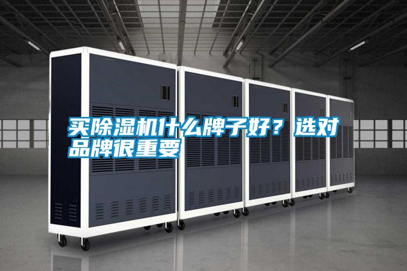 買除濕機什么牌子好？選對品牌很重要