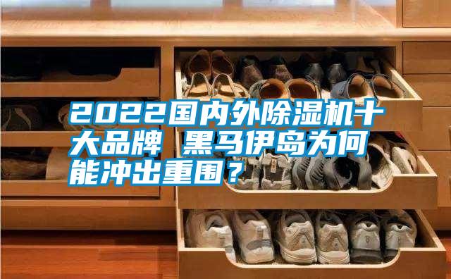 2022國內(nèi)外除濕機(jī)十大品牌 黑馬伊島為何能沖出重圍？