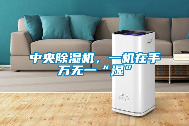 中央除濕機(jī)，一機(jī)在手萬(wàn)無(wú)一“濕”