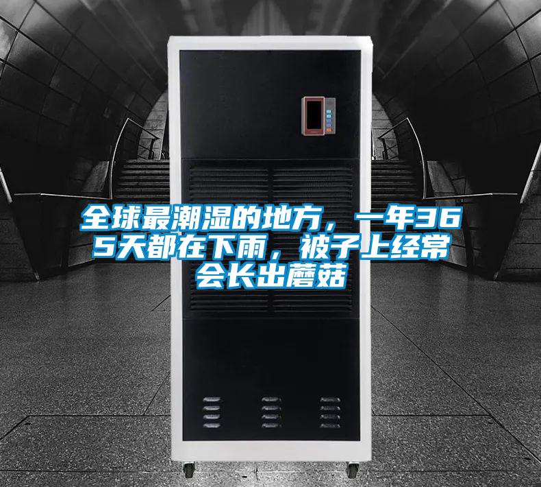 全球最潮濕的地方,一年365天都在下雨,被子上經(jīng)常會(huì)長(zhǎng)出蘑菇