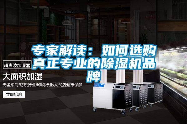 專家解讀:如何選購真正專業的除濕機品牌