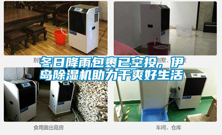 冬日降雨包裹已空投，伊島除濕機助力干爽好生活