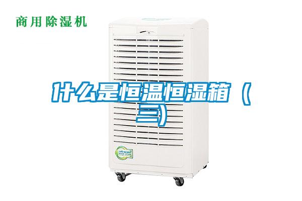 什么是恒溫恒濕箱(三)
