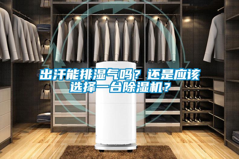 出汗能排濕氣嗎?還是應(yīng)該選擇一臺(tái)除濕機(jī)?