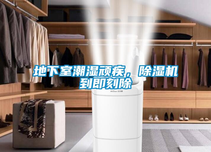 地下室潮濕頑疾，除濕機(jī)到即刻除
