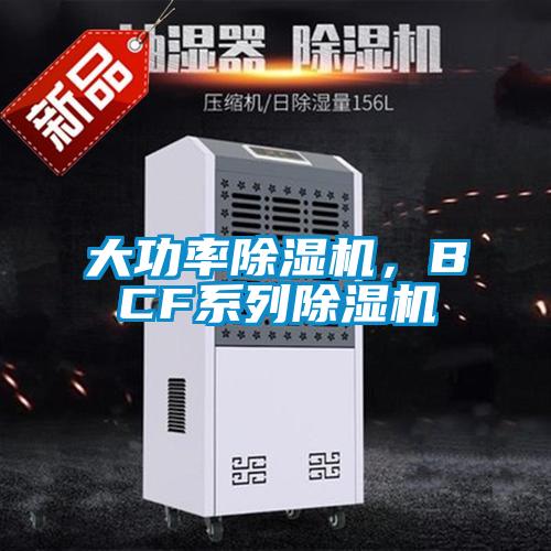 大功率除濕機,BCF系列除濕機