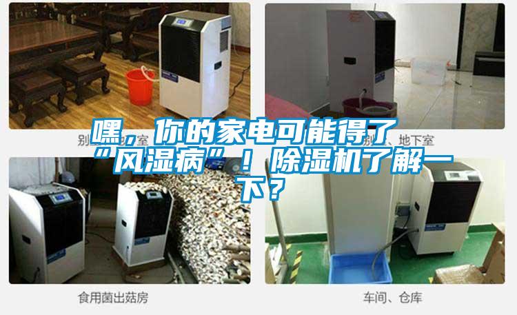 嘿，你的家電可能得了“風濕病”！除濕機了解一下？