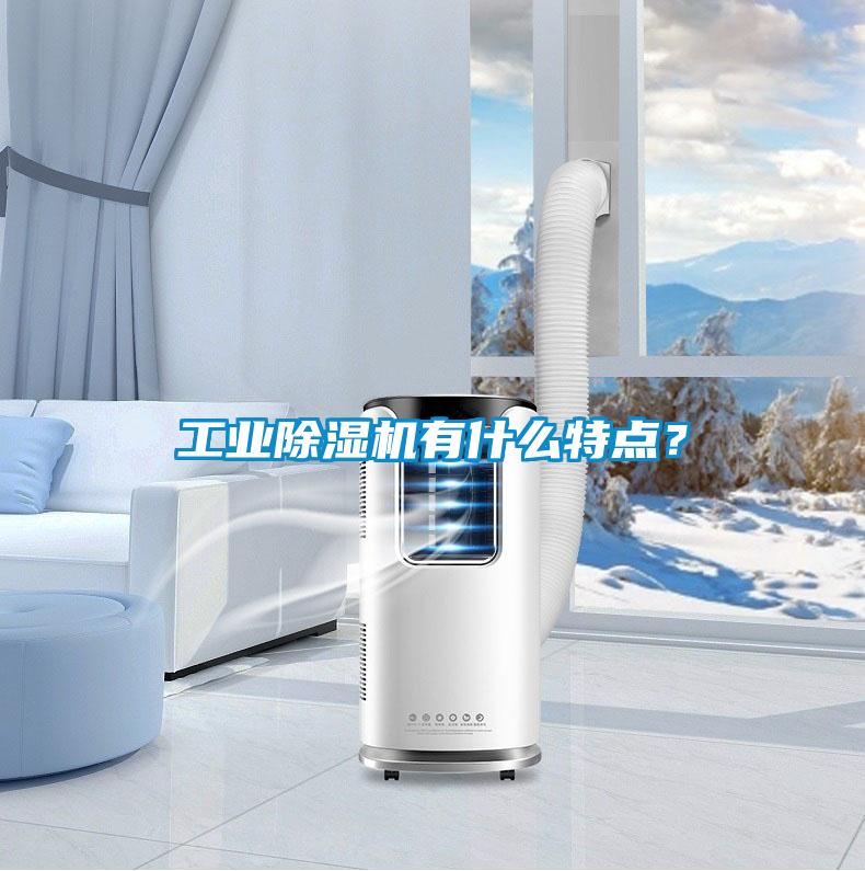 工業(yè)除濕機有什么特點?
