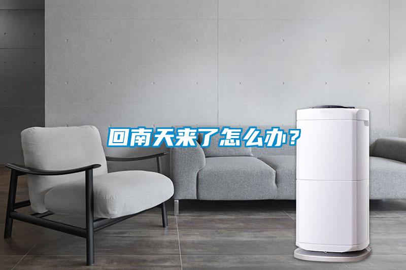 回南天來了怎么辦?