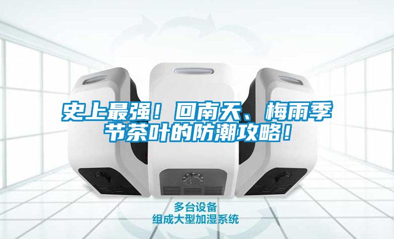 史上最強！回南天、梅雨季節茶葉的防潮攻略！