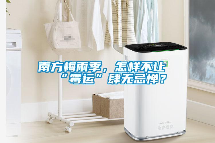 南方梅雨季，怎樣不讓“霉運”肆無忌憚？