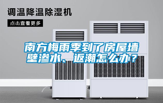 南方梅雨季到了房屋墻壁滲水、返潮怎么辦？