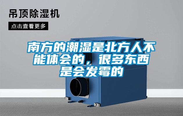 南方的潮濕是北方人不能體會的,很多東西是會發(fā)霉的