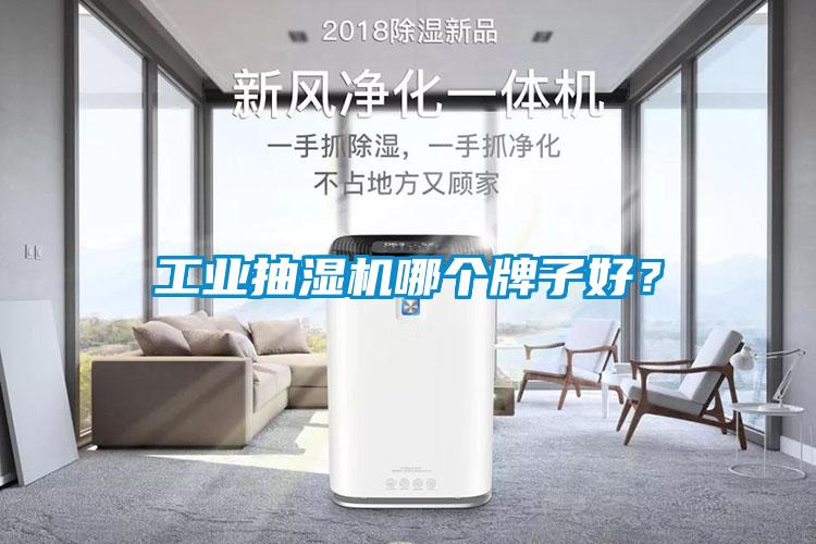 工業(yè)抽濕機哪個牌子好?