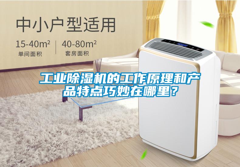 工業(yè)除濕機(jī)的工作原理和產(chǎn)品特點(diǎn)巧妙在哪里？