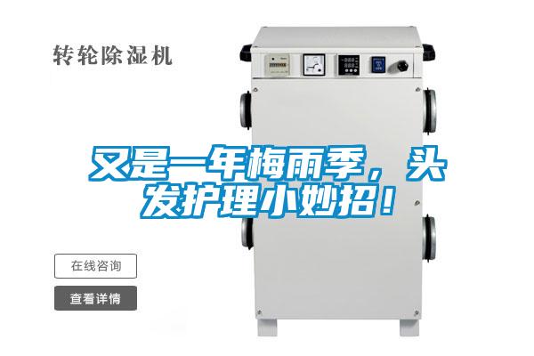 又是一年梅雨季,頭發護理小妙招!