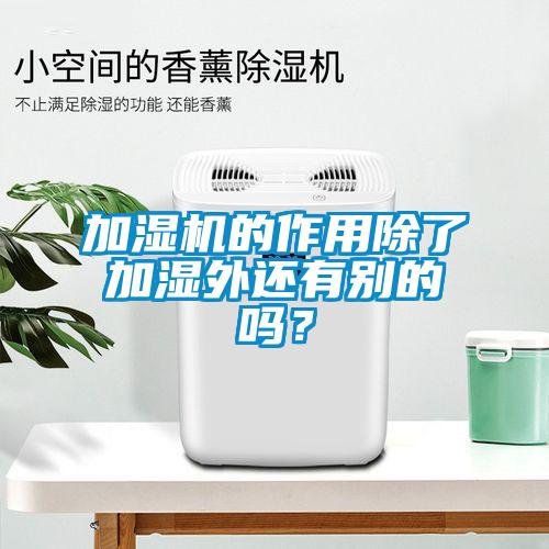 加濕機的作用除了加濕外還有別的嗎?