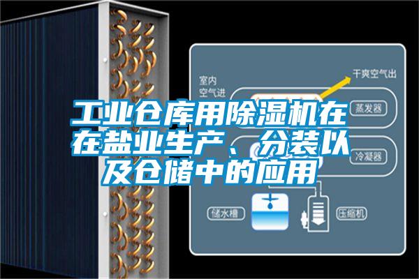 工業倉庫用除濕機在在鹽業生產、分裝以及倉儲中的應用