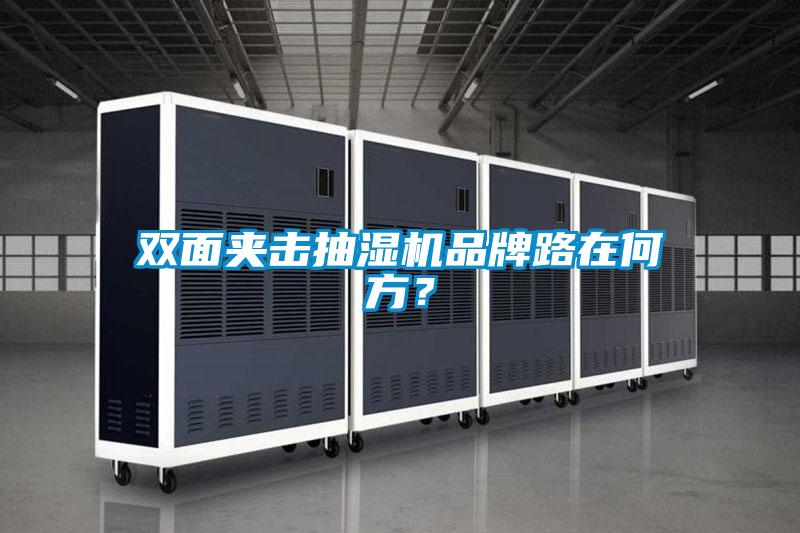 雙面夾擊抽濕機品牌路在何方？