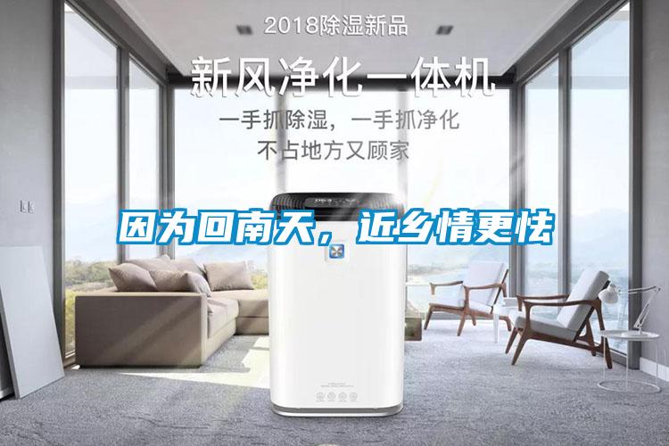 因為回南天,近鄉情更怯