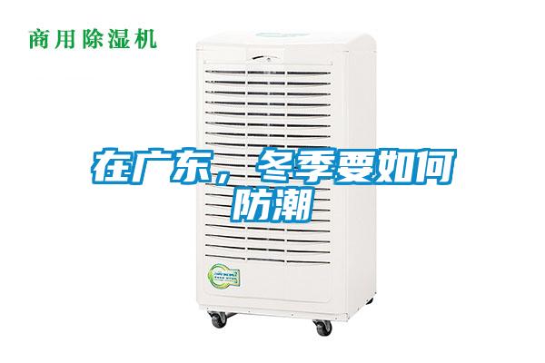 在廣東,冬季要如何防潮