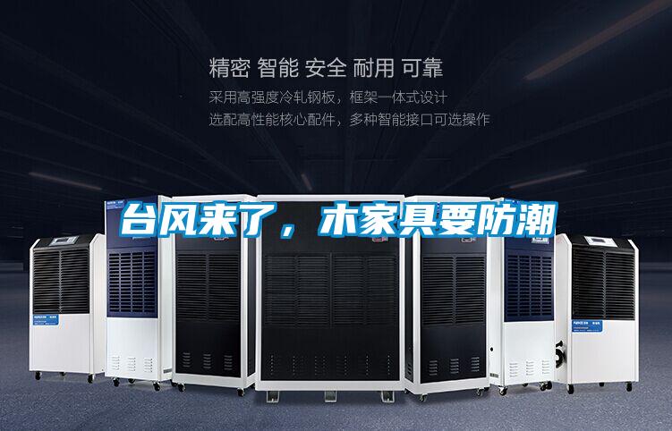 臺風來了，木家具要防潮