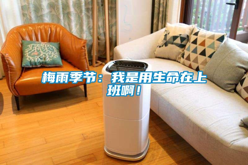 梅雨季節：我是用生命在上班?。?/></p>
						    <p style=