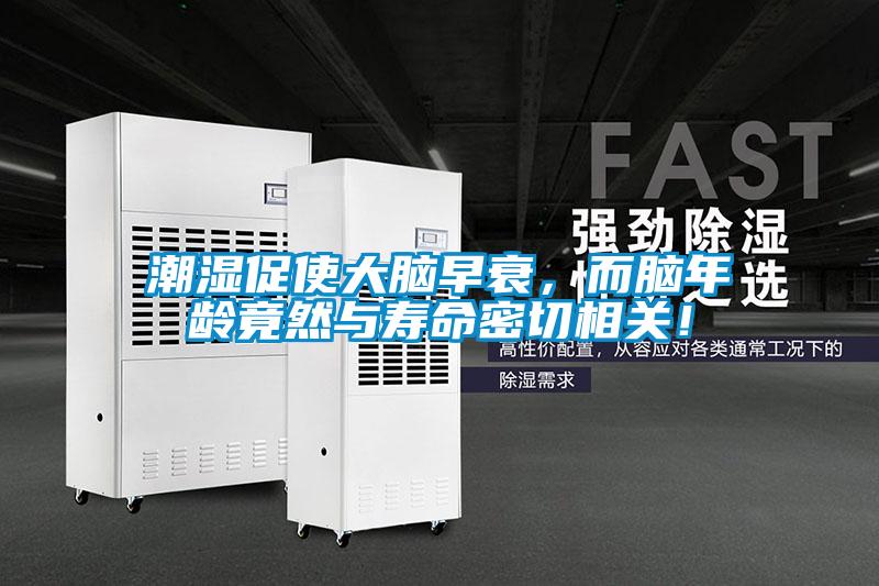 潮濕促使大腦早衰，而腦年齡竟然與壽命密切相關！