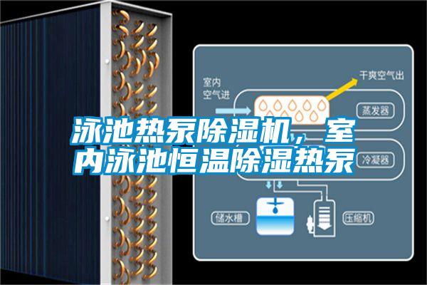 泳池熱泵除濕機，室內泳池恒溫除濕熱泵