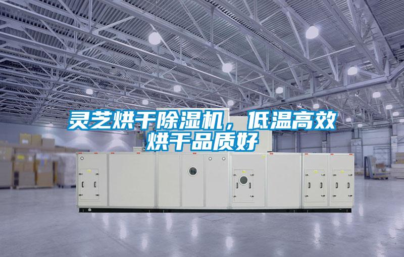 靈芝烘干除濕機，低溫高效烘干品質好