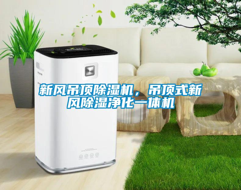 新風吊頂除濕機，吊頂式新風除濕凈化一體機