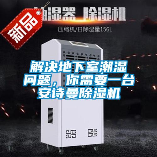 解決地下室潮濕問題,你需要一臺安詩曼除濕機