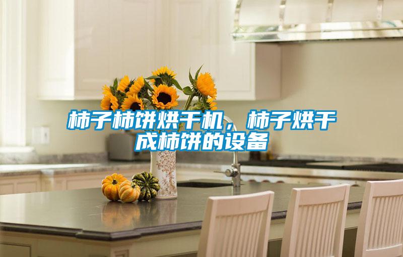 柿子柿餅烘干機,柿子烘干成柿餅的設備