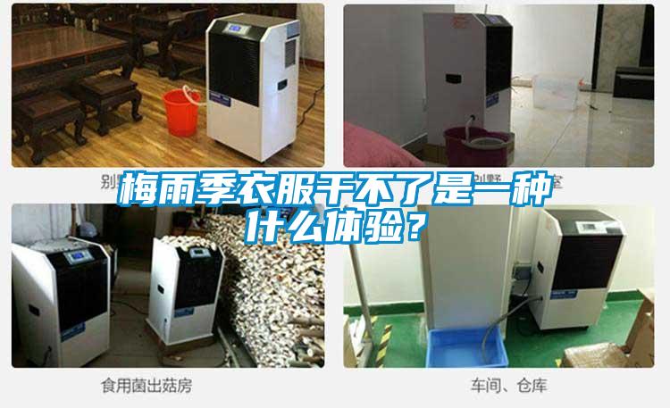 梅雨季衣服干不了是一種什么體驗？
