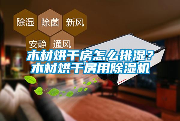 木材烘干房怎么排濕？木材烘干房用除濕機
