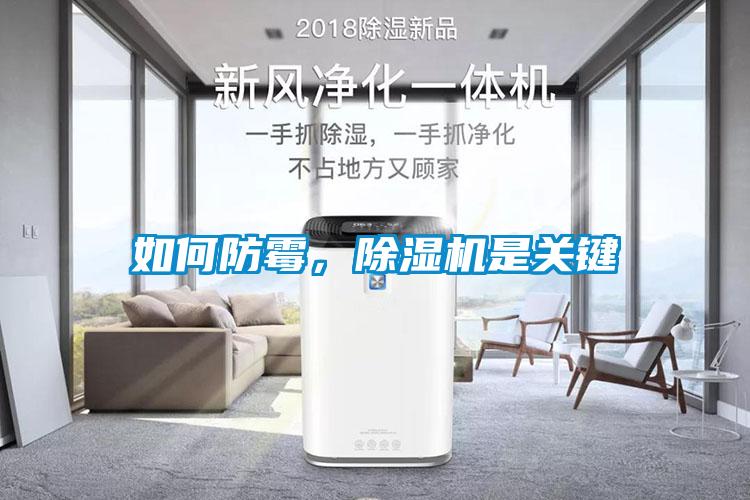 如何防霉，除濕機是關鍵