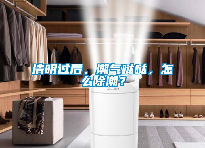 清明過后，潮氣噠噠，怎么除潮？
