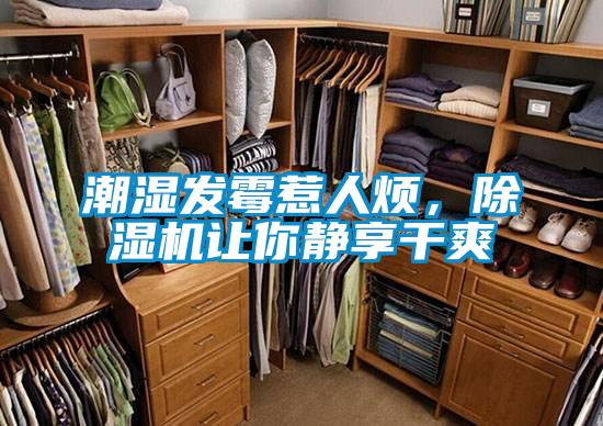 潮濕發霉惹人煩，除濕機讓你靜享干爽