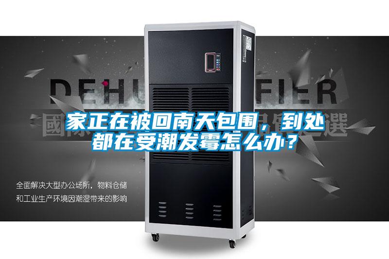 家正在被回南天包圍，到處都在受潮發霉怎么辦？