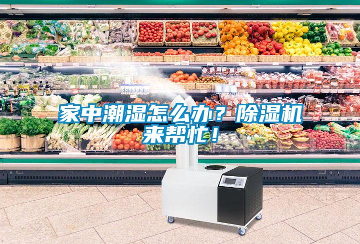 家中潮濕怎么辦?除濕機來幫忙!