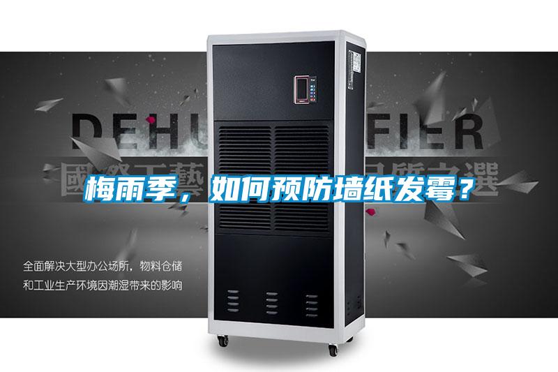 梅雨季,如何預(yù)防墻紙發(fā)霉?