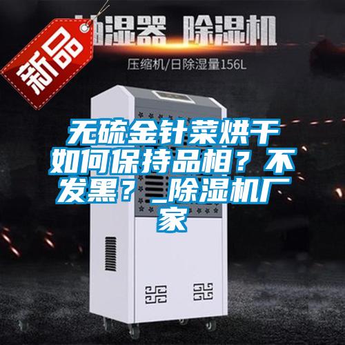 無硫金針菜烘干如何保持品相？不發黑？_除濕機廠家