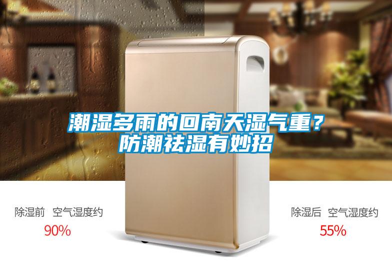 潮濕多雨的回南天濕氣重?防潮祛濕有妙招