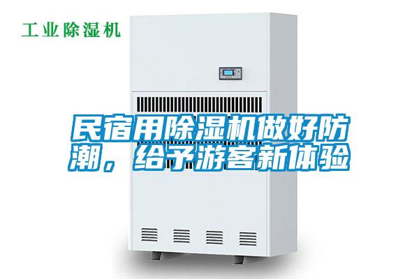 民宿用除濕機做好防潮，給予游客新體驗