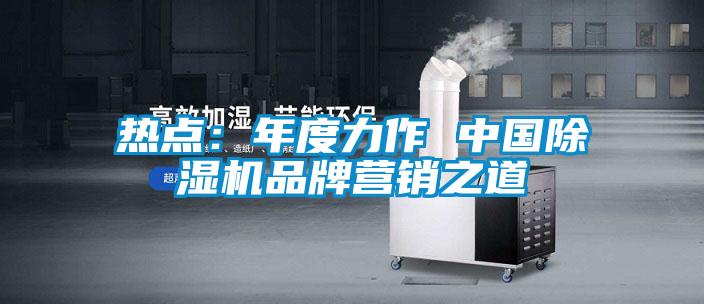 熱點:年度力作 中國除濕機(jī)品牌營銷之道